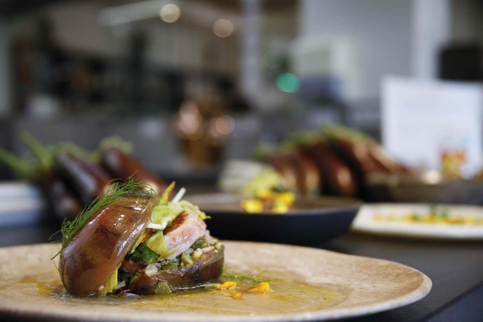 Las imágenes de una nueva variedad de berenjena en Almería