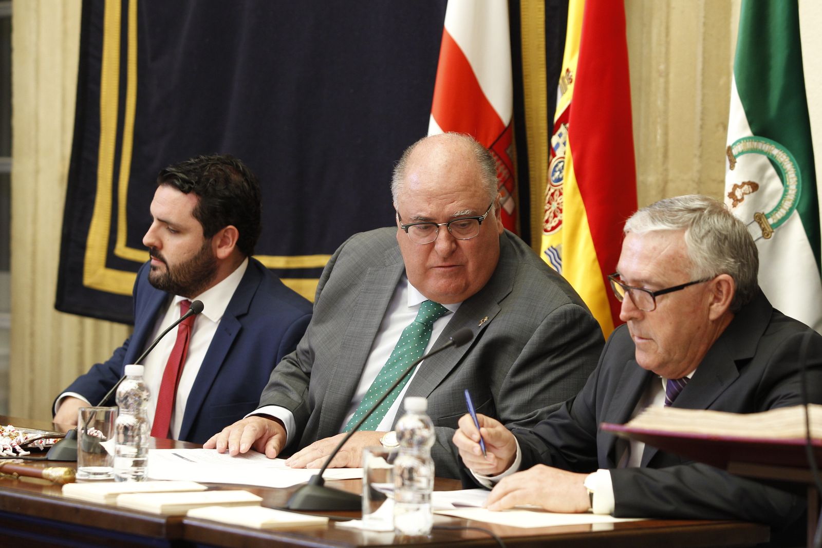 Pleno investidura Presidente Diputación de Almería. Javier Aureliano García
