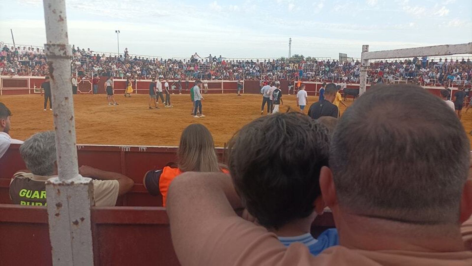 Villa del Río recupera la suelta de vaquillas, en imágenes