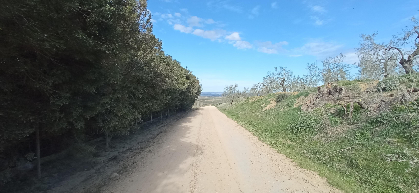 Las imágenes de la ruta de la dehesa de Albaida del Aljarafe