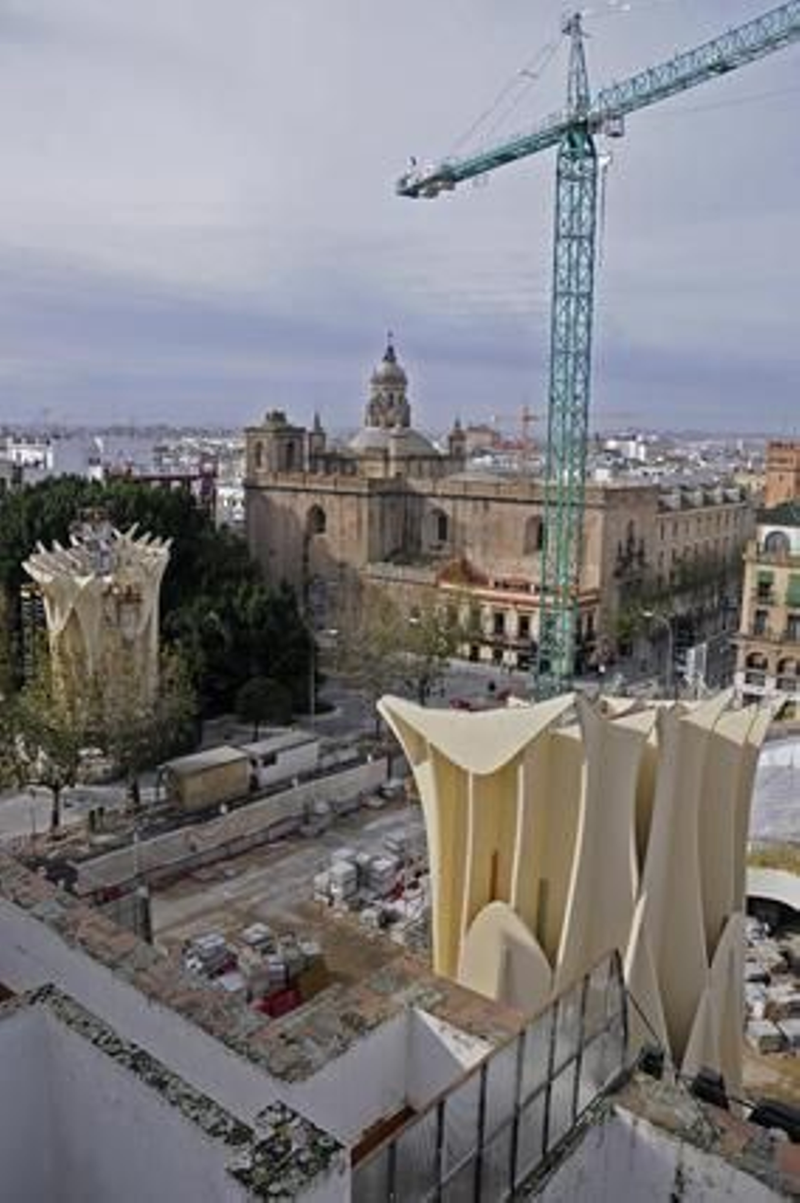 La madera sólo se puede ver en los troncos de las 'setas'.

Foto: Juan Carlos Vázquez