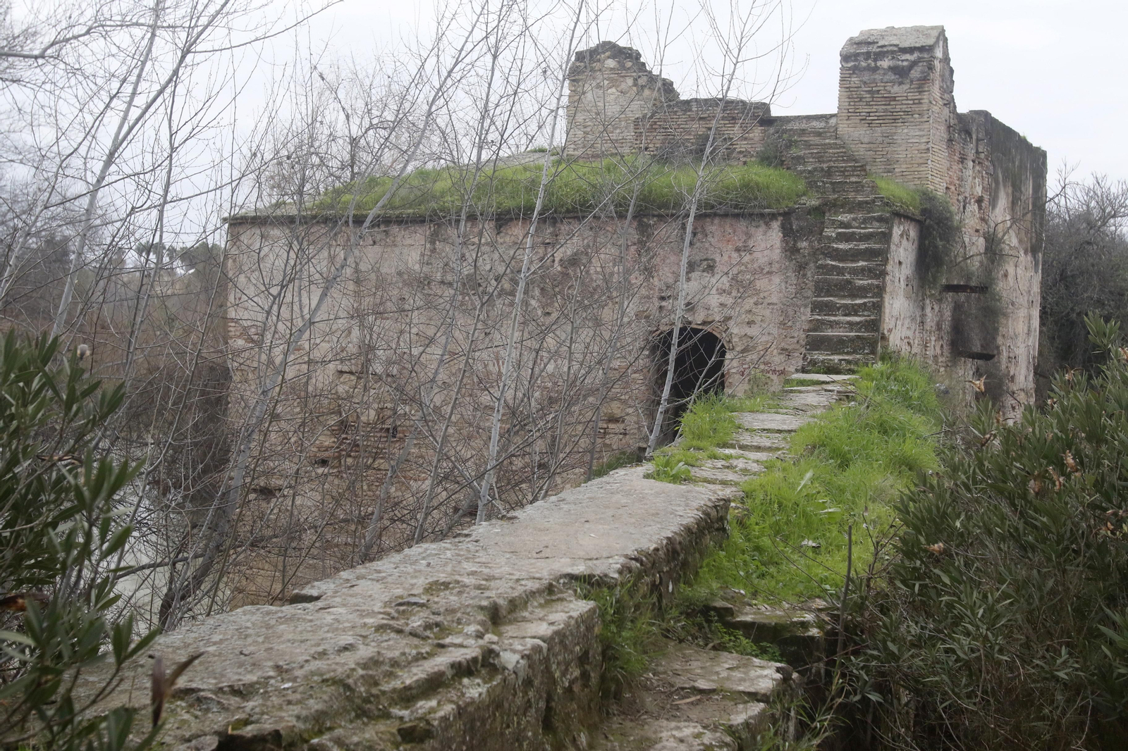 Historia de los molinos del Guadalquivir cordobés en fotografías