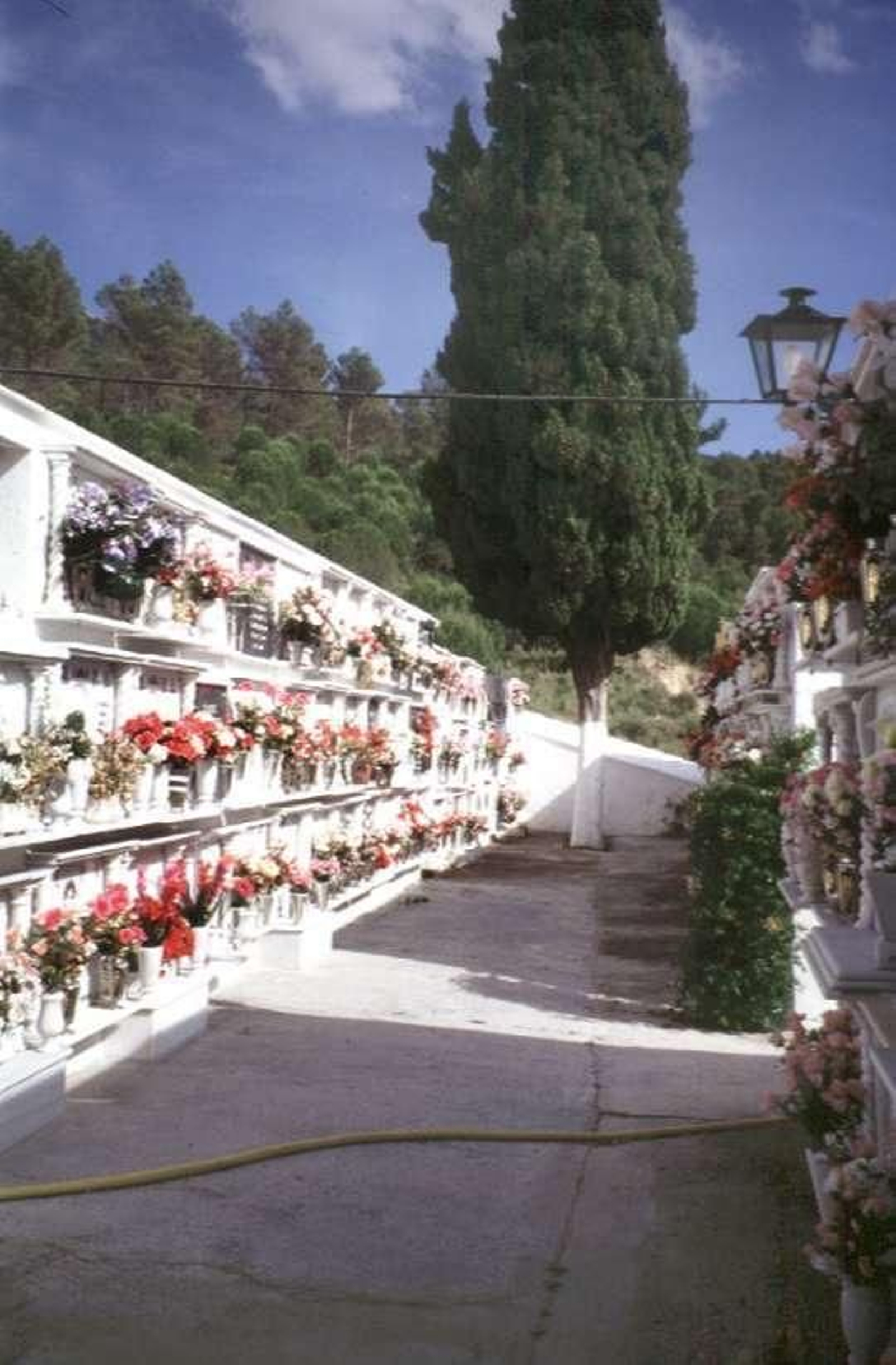 Cementerio Municipal de El Bosque
