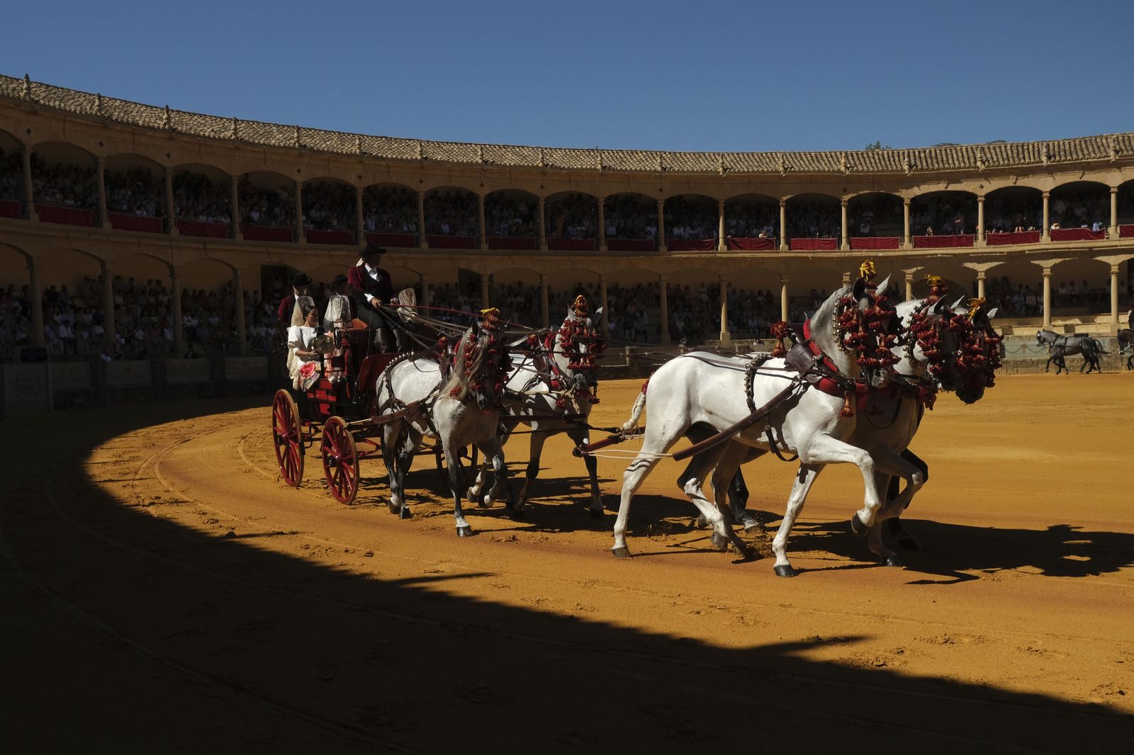 Concurso de enganches de Ronda, en fotos.