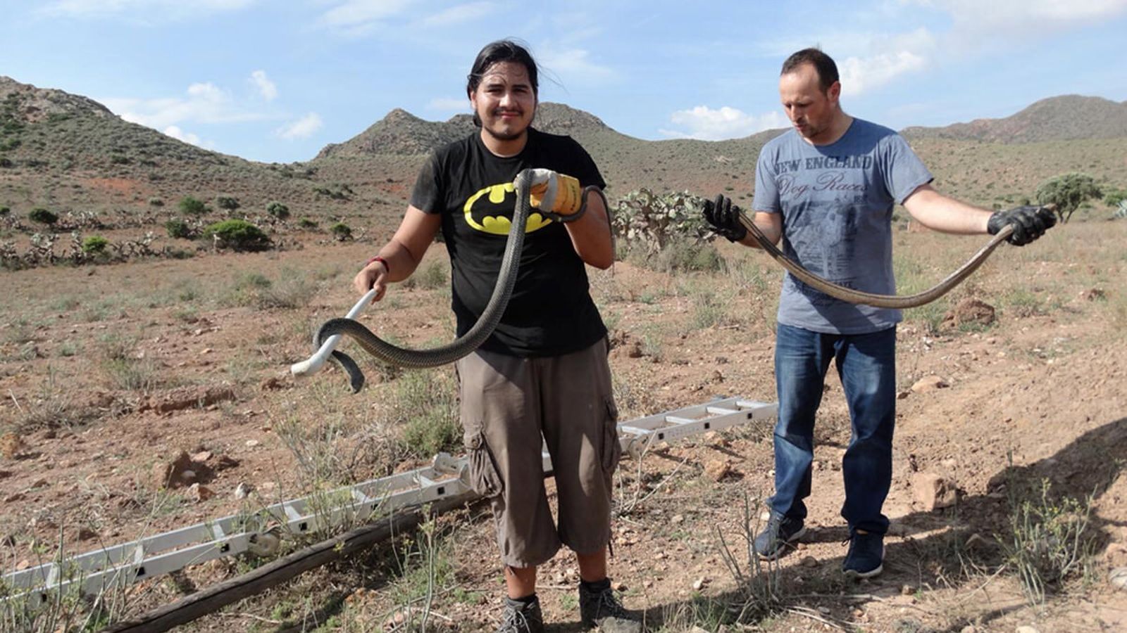 Recate de culebras por integrantes de Serbal