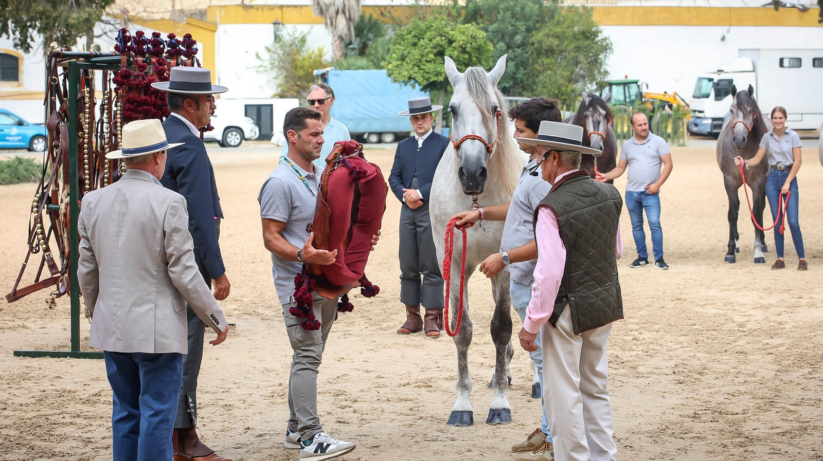 'Día Mundial del Caballo' en la Real Escuela de Jerez