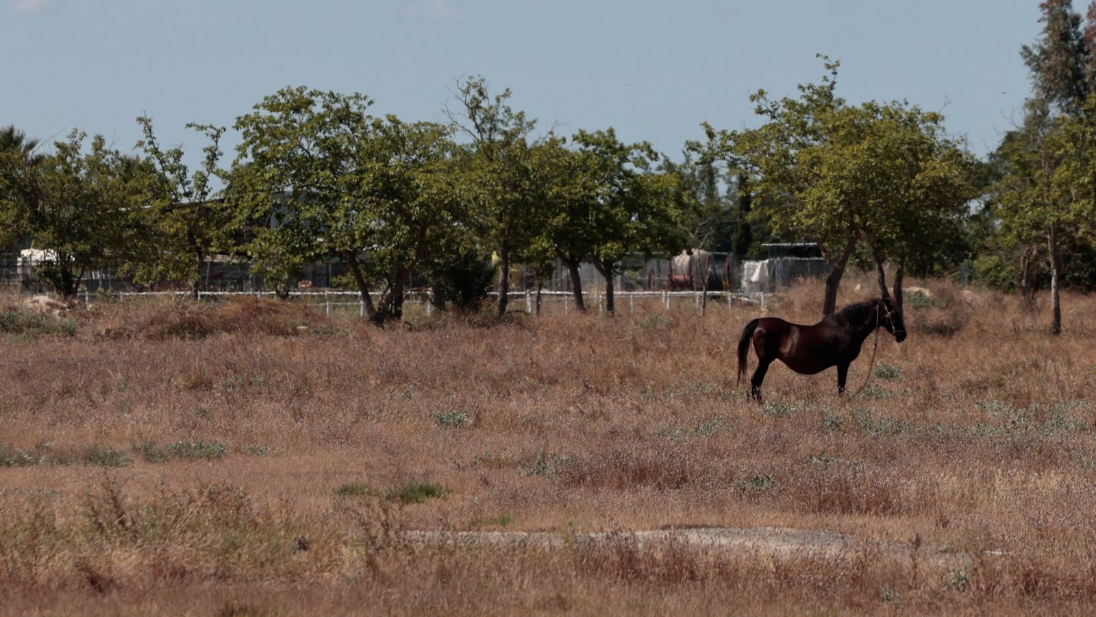 El lugar donde se produjo el tiroteo, al fondo.