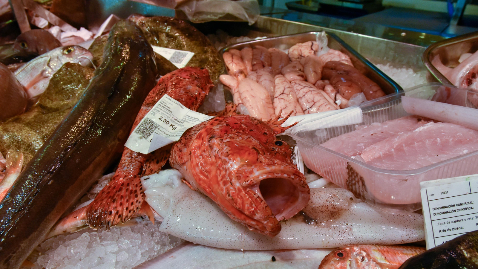 Pescaderia Antonio Martín