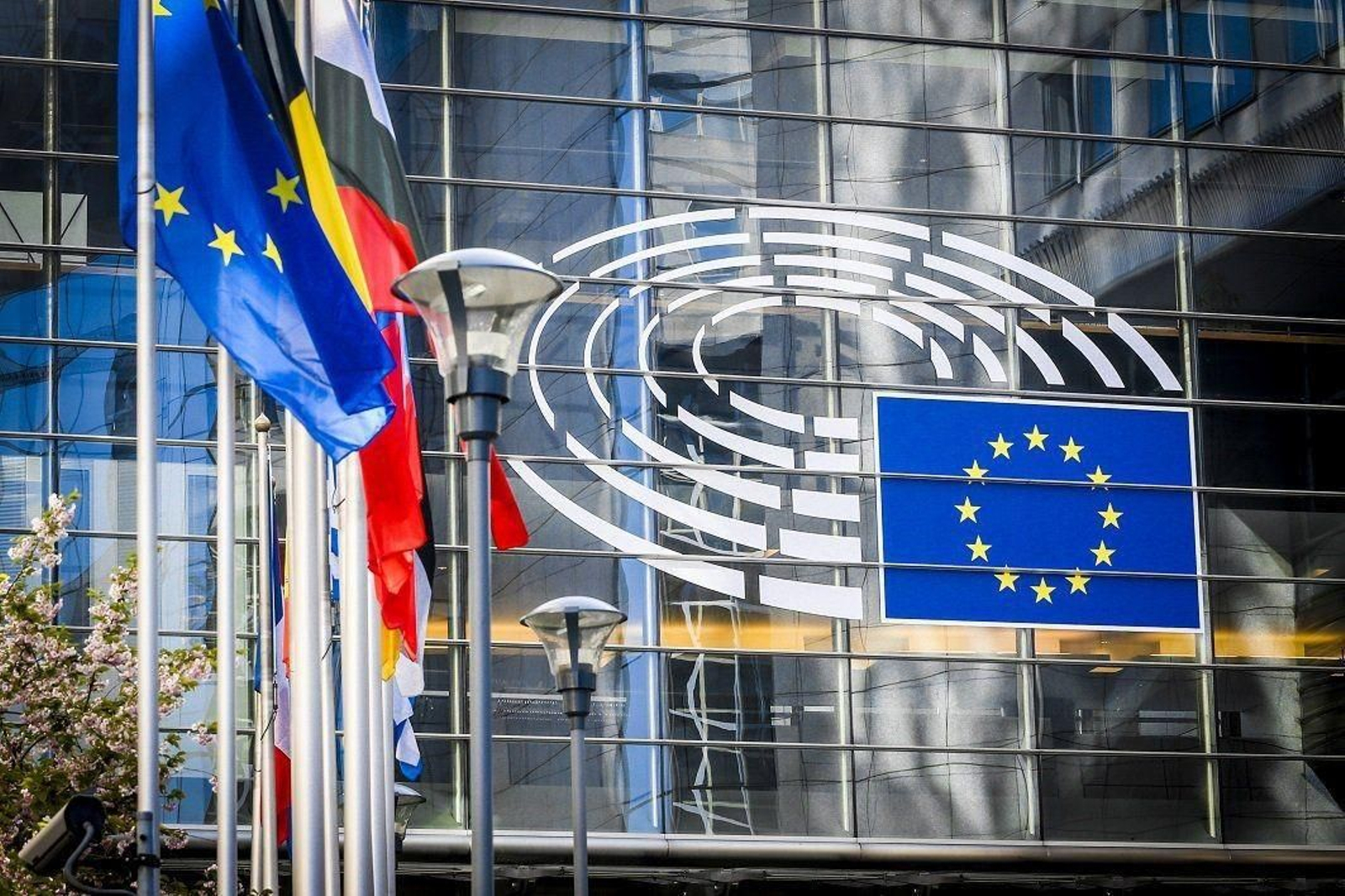 Parlamento Europeo.