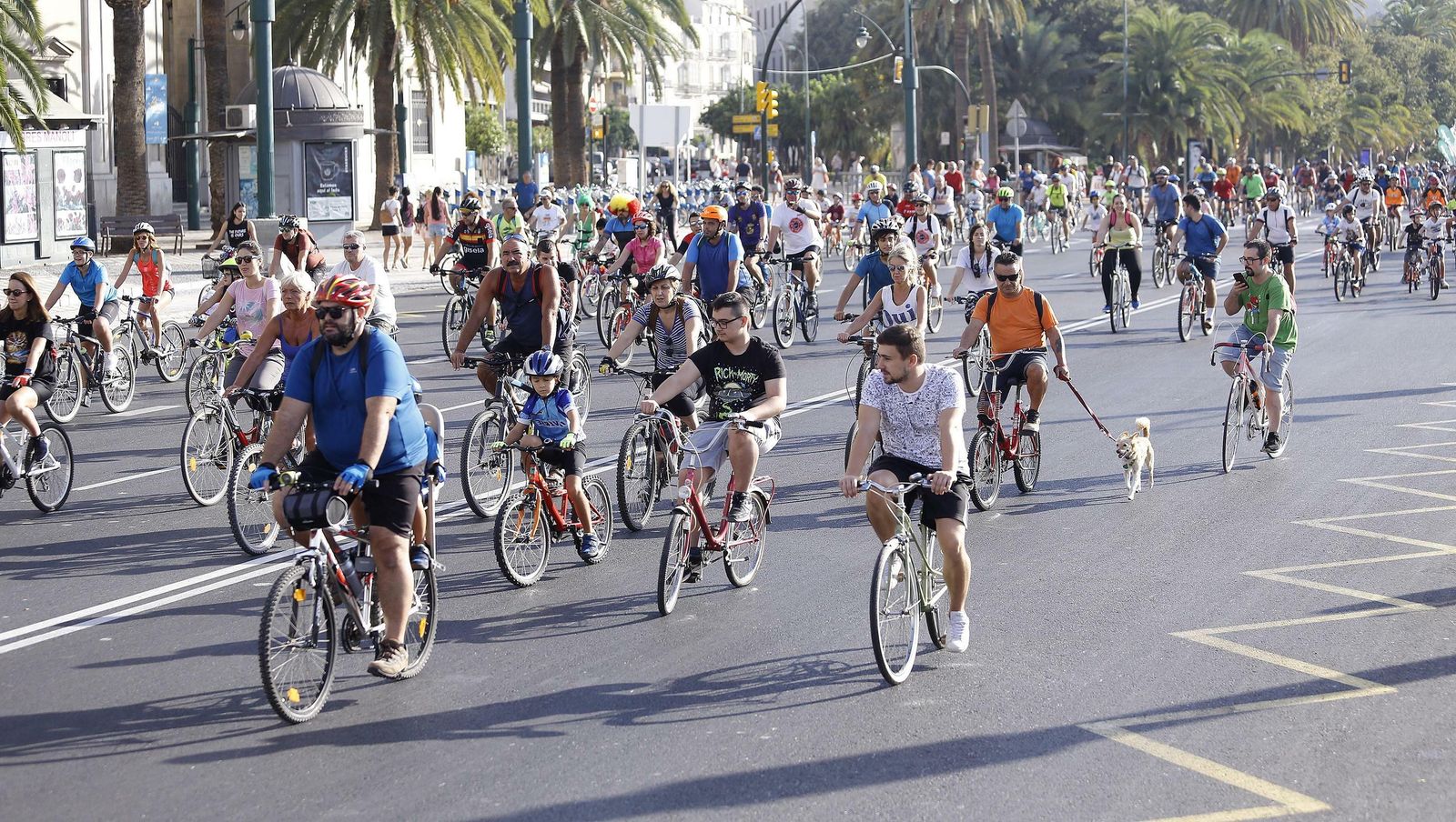 Fotos del Día de la Bicicleta en Málaga
