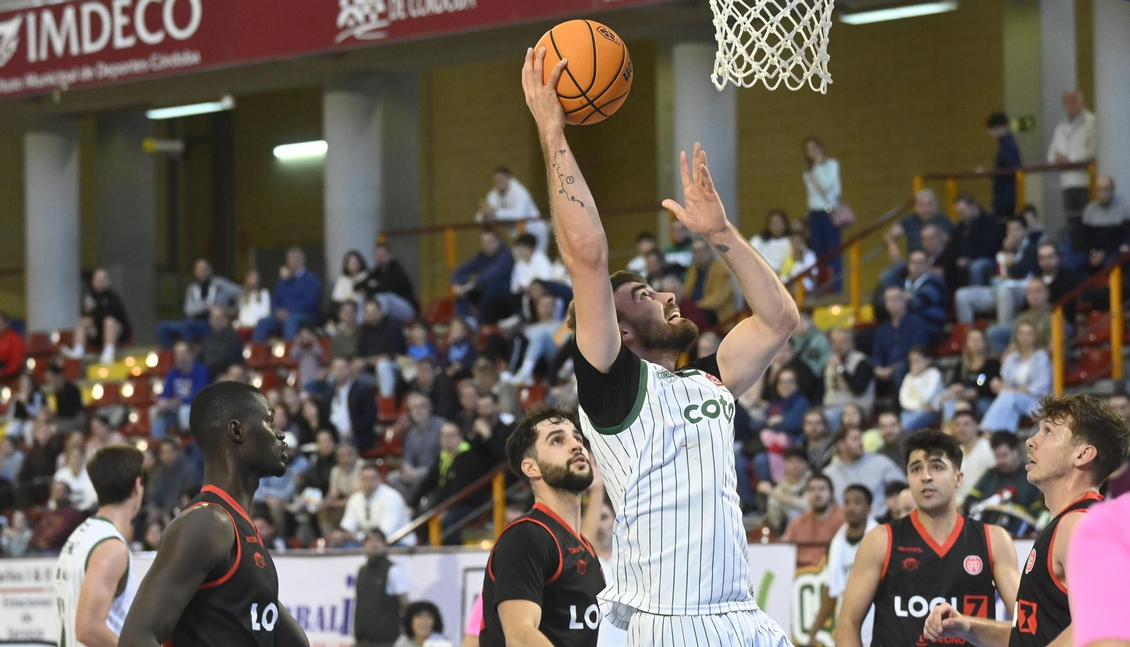 Las mejores fotos del ambiente en Vista Alegre para el Coto Córdoba - Logrobasket