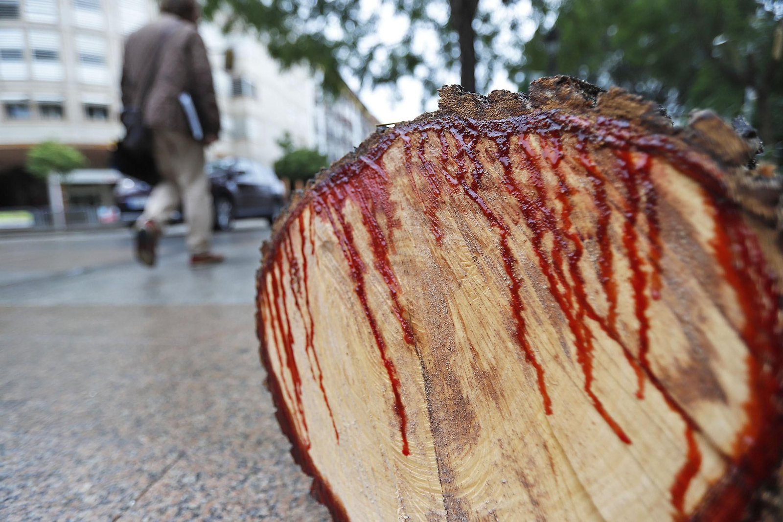 Imágenes de los destrozos en Huelva provocados por el temporal de viento y lluvia