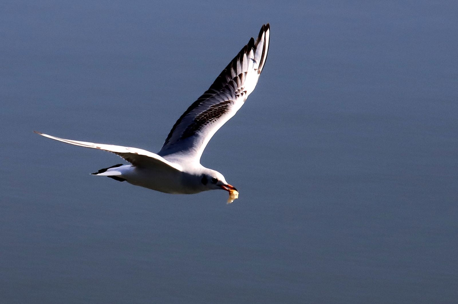 Las mejores imágenes del sábado 22 de junio en Huelva