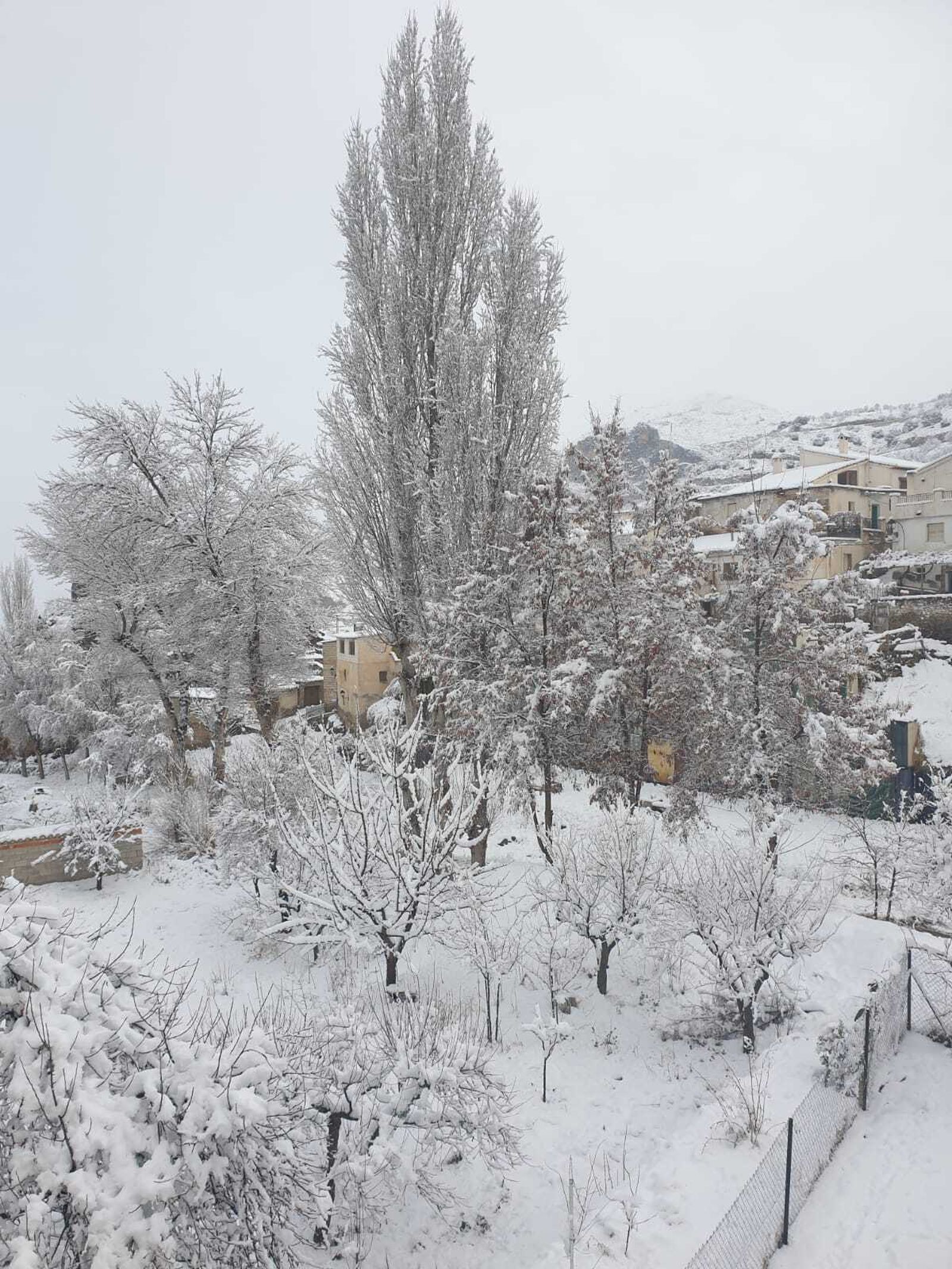 Primera gran nevada en Almería