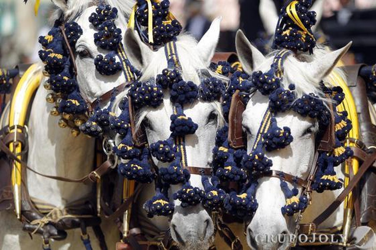 Foto: Juan Carlos Muñoz