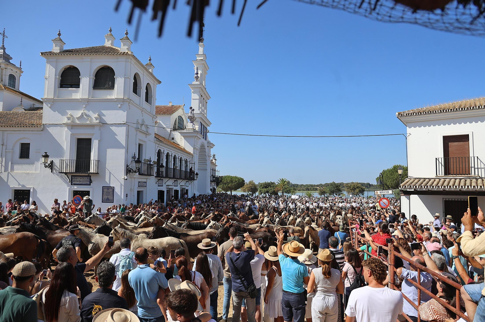 Las mejores imágenes de la Saca de las Yeguas 2025