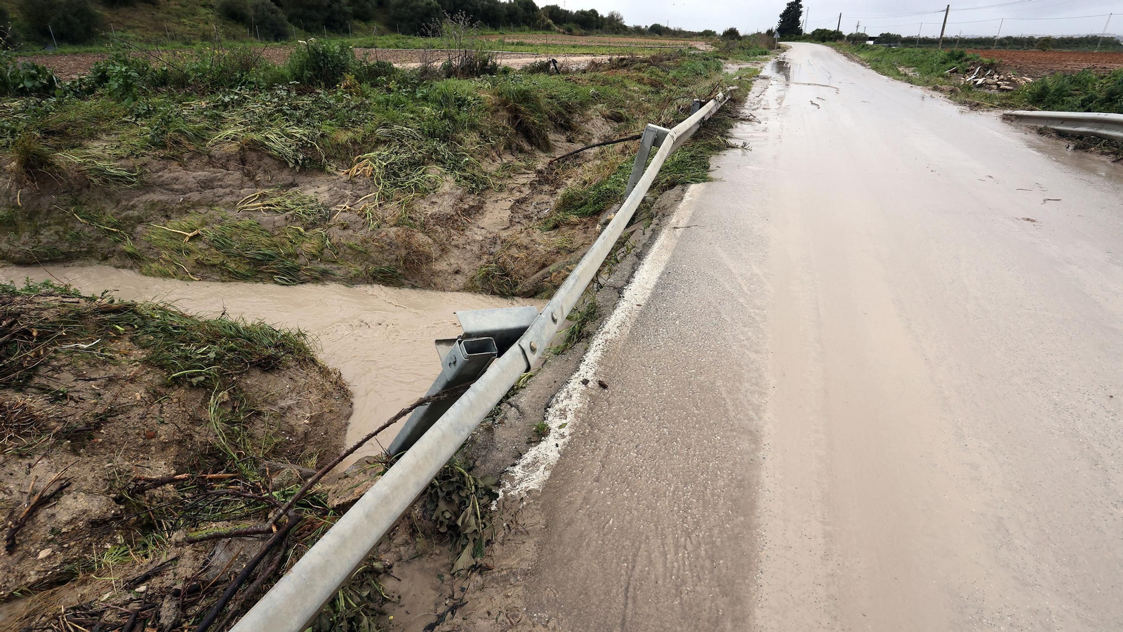 Imágenes del temporal de viento y lluvia en Jerez