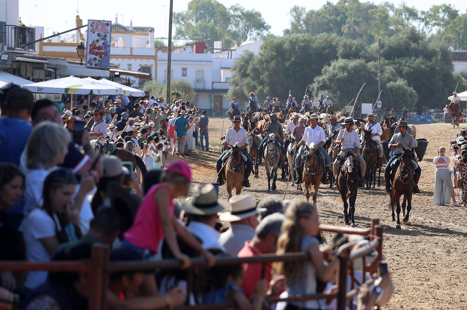 Las mejores imágenes de la Saca de las Yeguas 2025