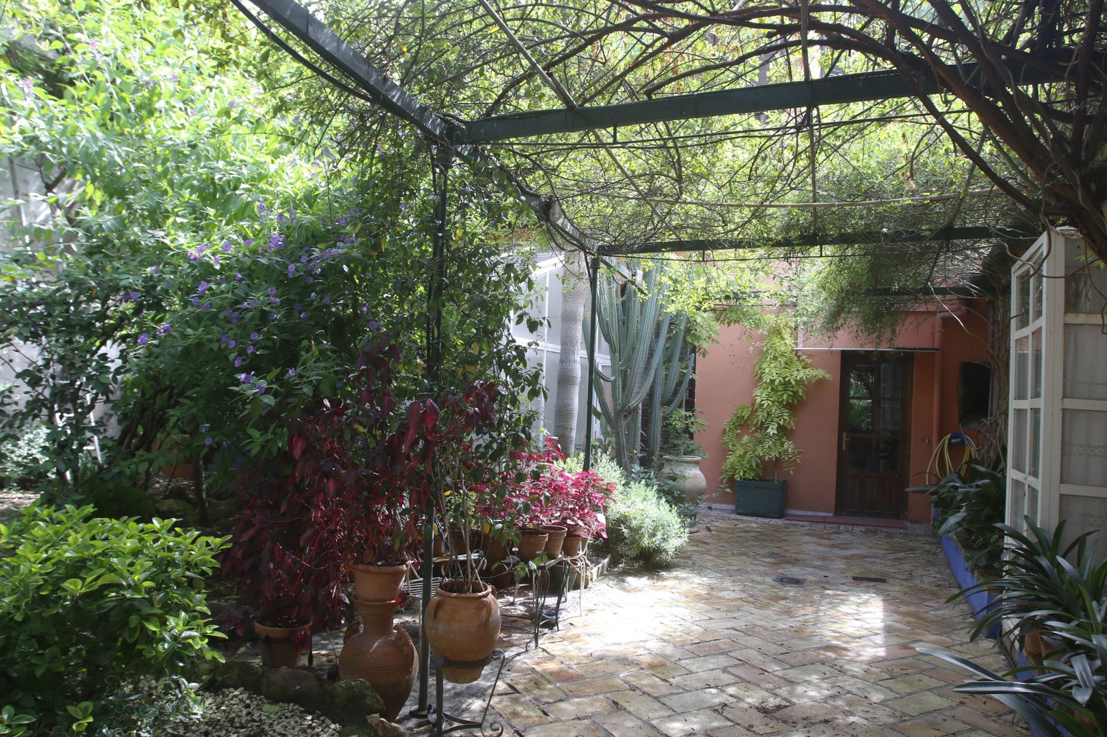 Los Patios de Córdoba en tiempos de crisis: Plaza de las Tazas, 11