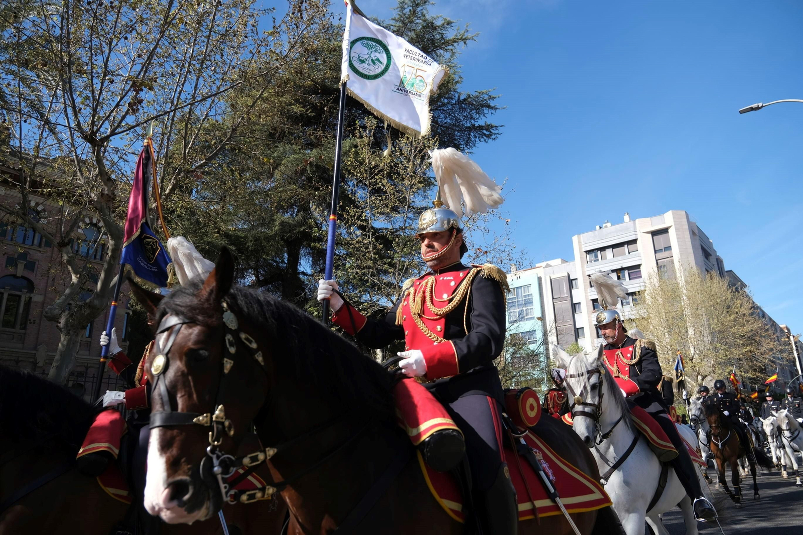 El desfile ecuestre con motivo de los 175 años de la Facultad de Veterinaria de Córdoba, en imágenes