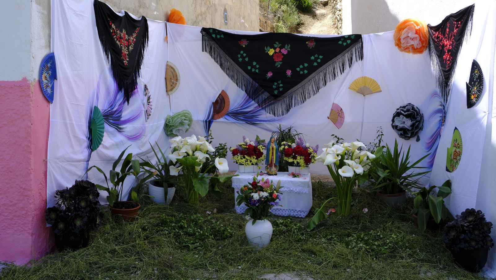 Imágenes de las Fiestas de la Virgen de Fátima en Tíjola.