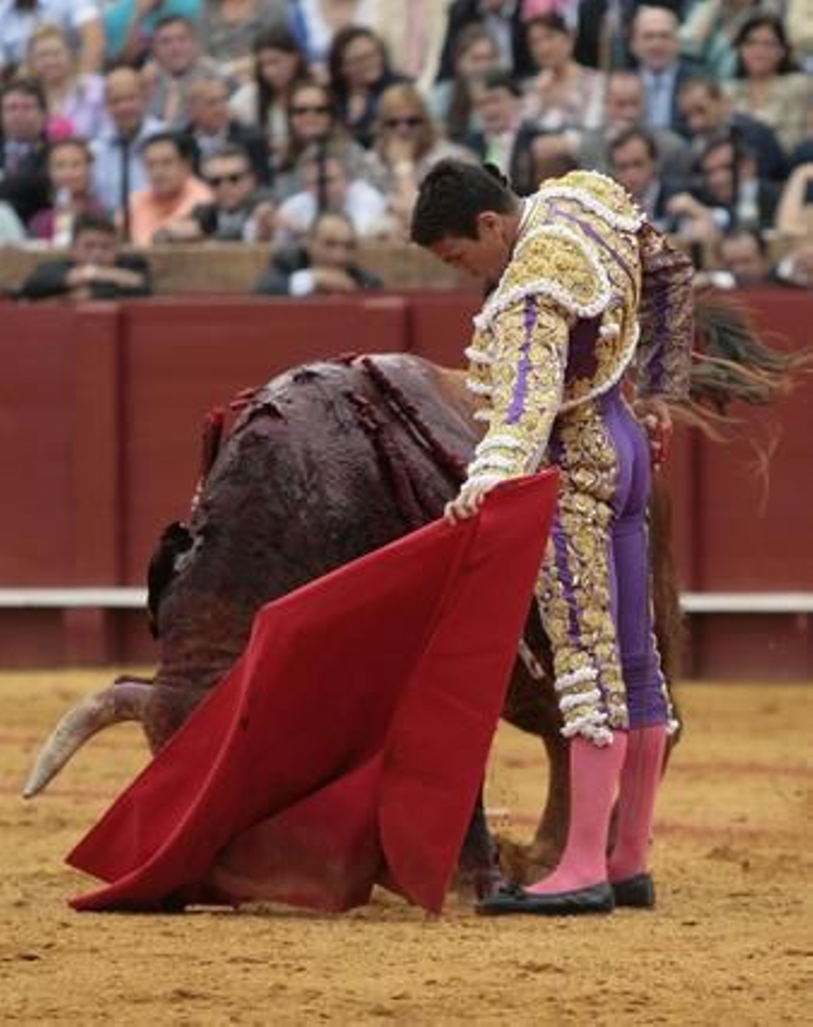 Manzanres regresa en su última tarde tras abrir la Puerta del Príncipe, con el segundo toro de la tarde.

Foto: Juan Carlos Muñoz