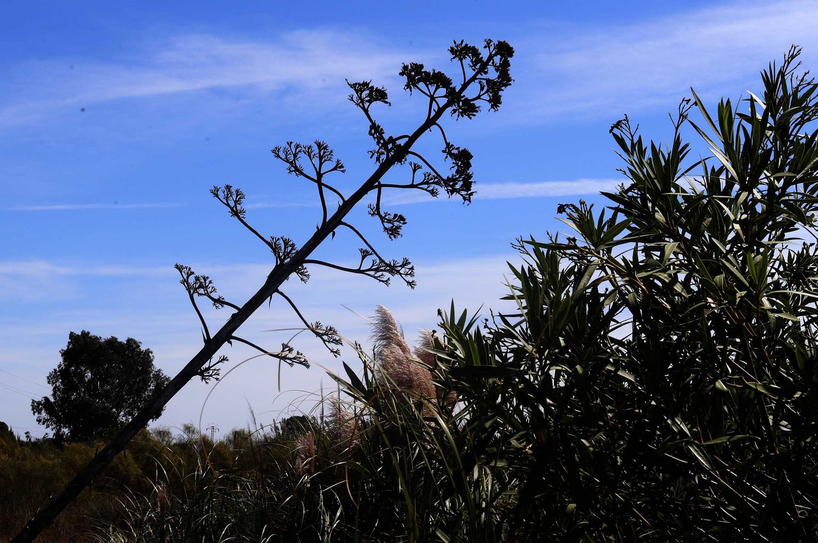 Imágenes del domingo 25 de septiembre en Huelva
