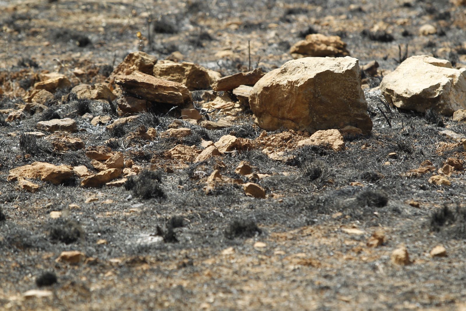 Fotogalería incendio extinguido Sierra de Gádor