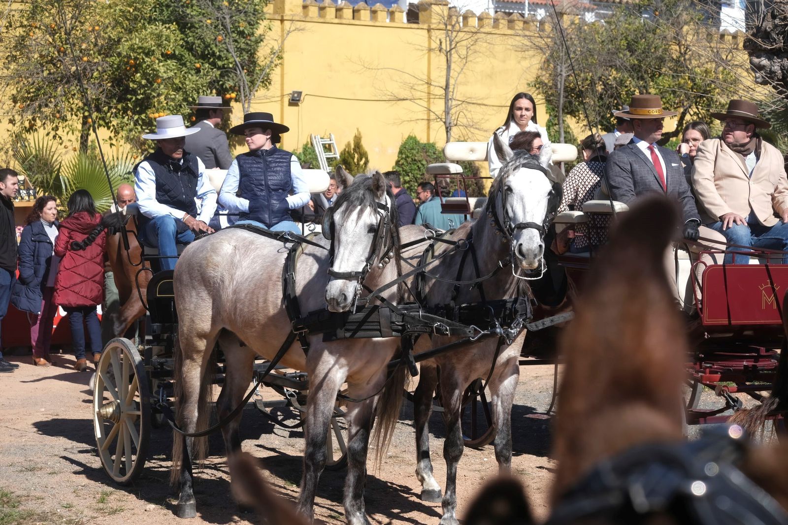 La XV marcha hípica por el Día de Andalucía en Córdoba, en imágenes