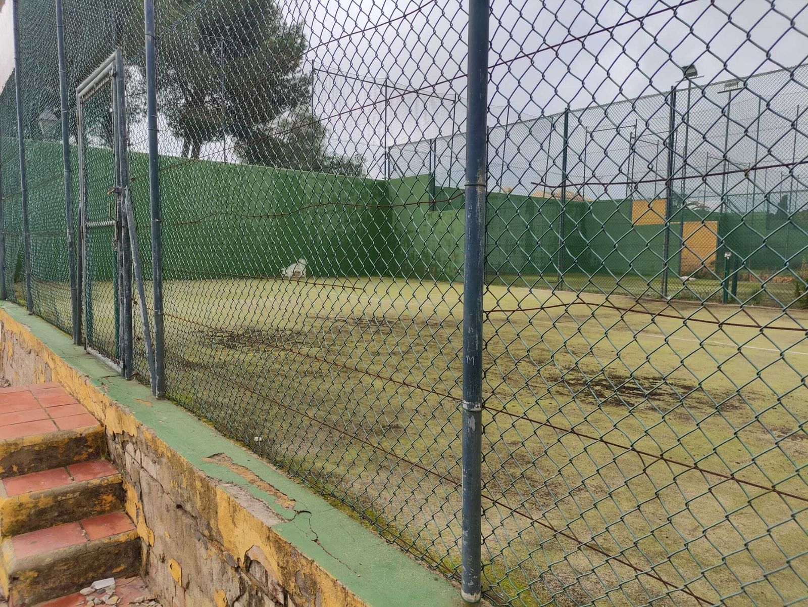 Una imagen del estado que presentan las pistas de pádel.