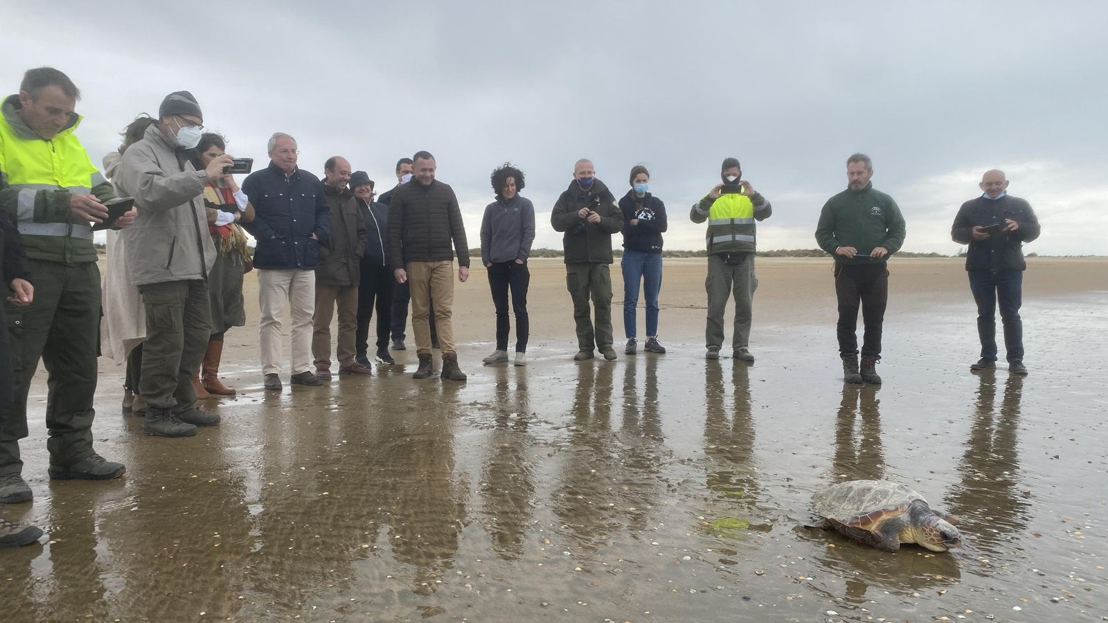 Liberación de uno de los ejemplares en la mañana de hoy.