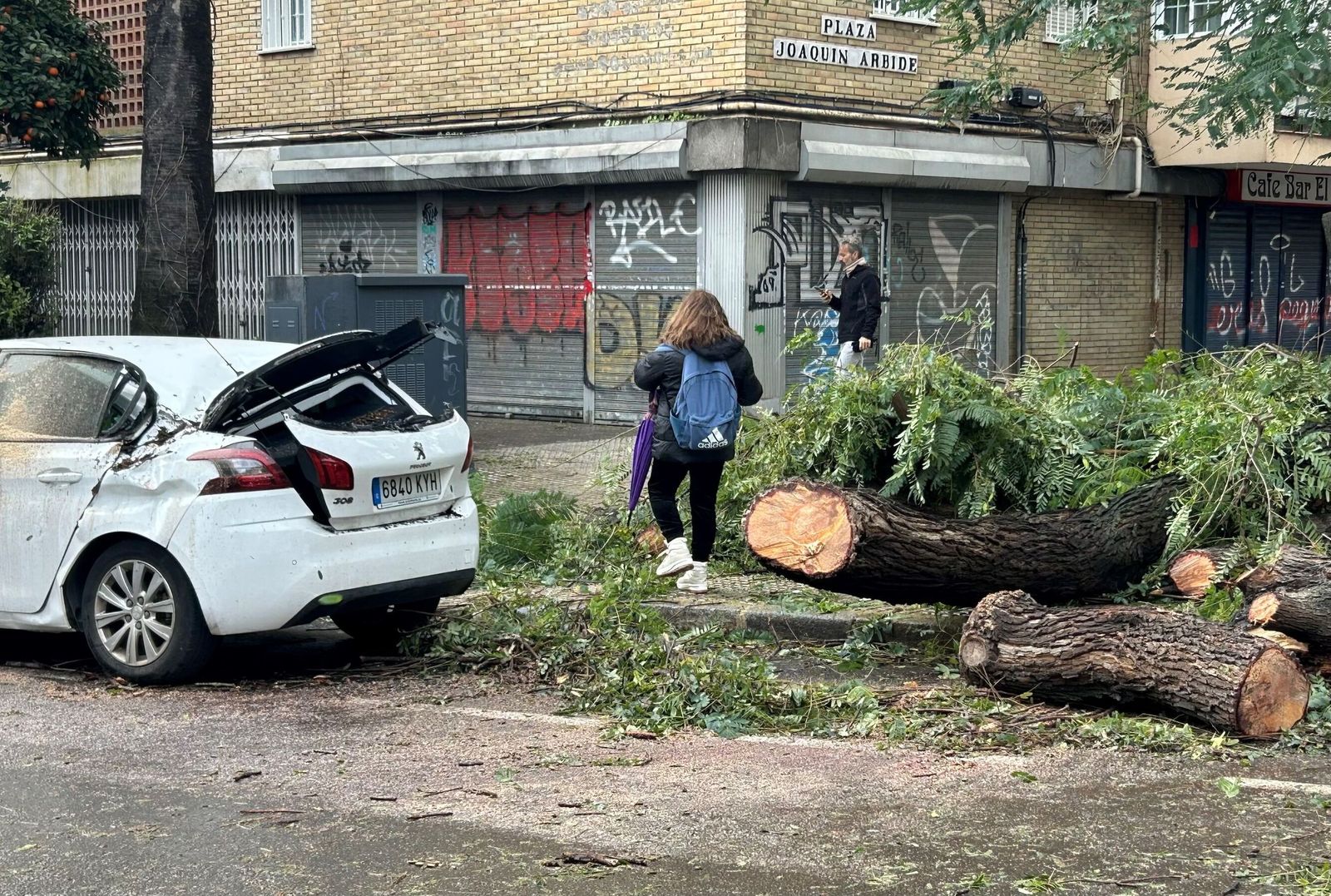 Una niña sortea un árbol caído de camino al colegio.