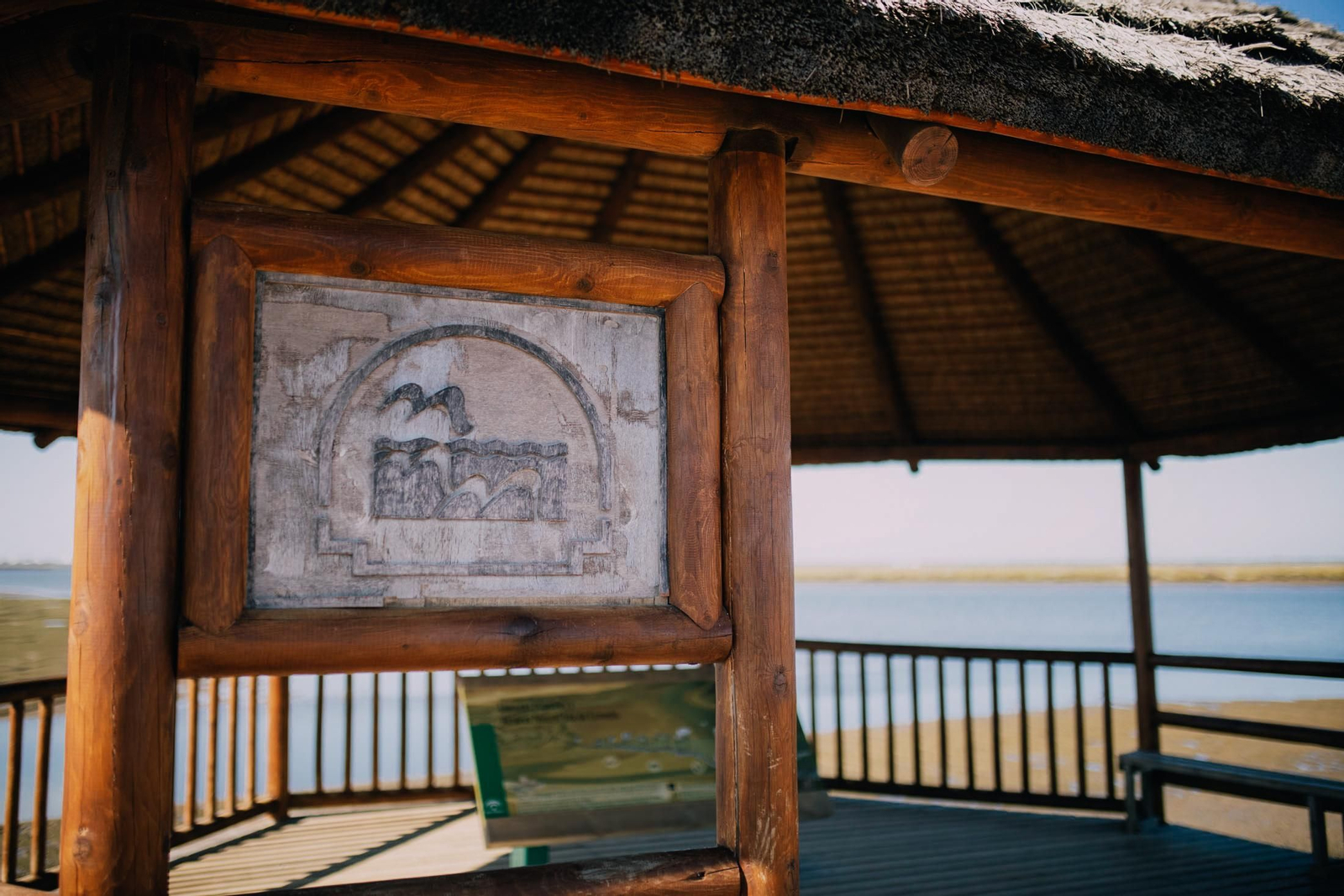 Un recorrido fotográfico por el Paraje Natural Marismas del Odiel
