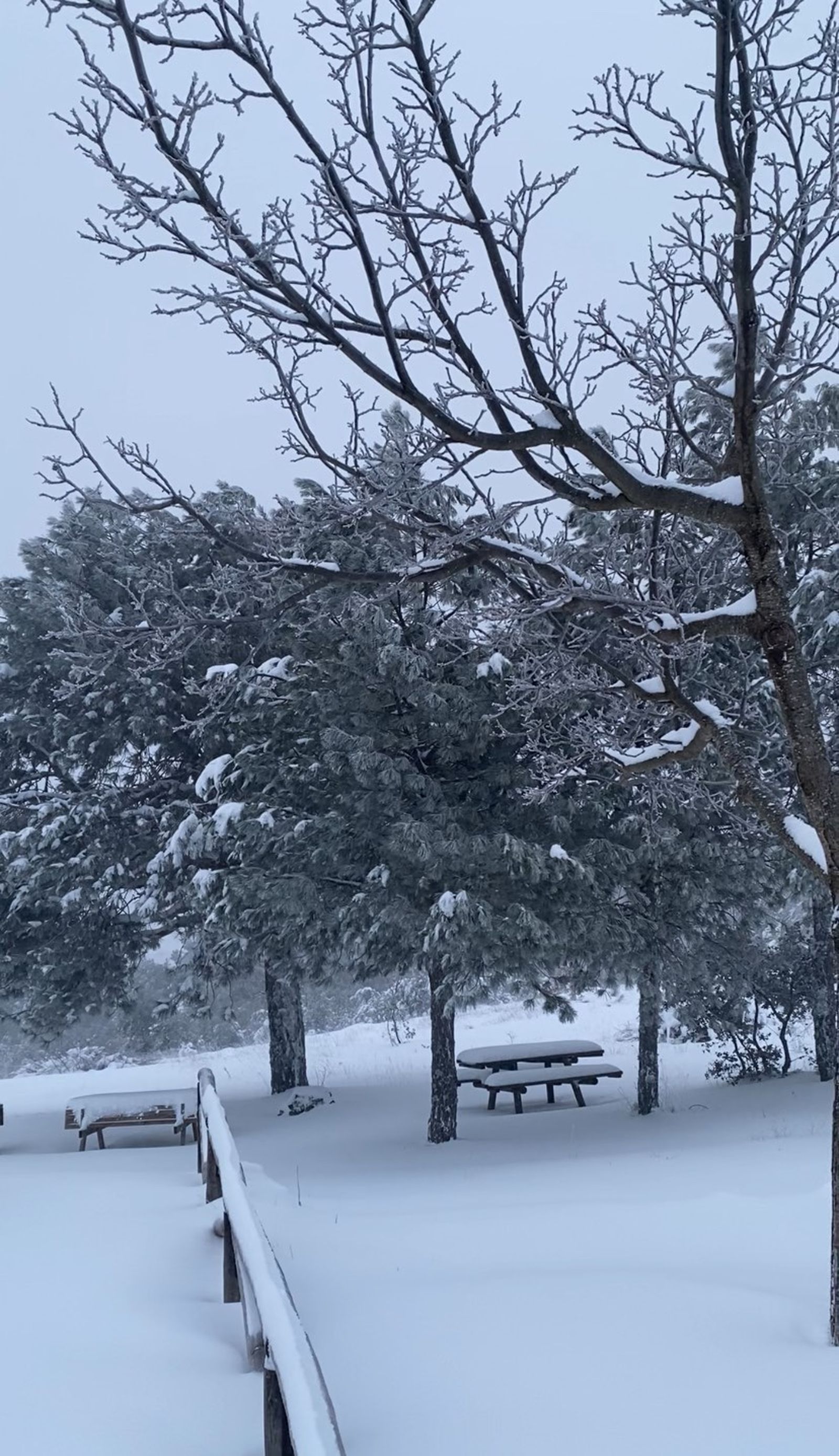 618115417_1685698112665559_7967218977599501018_n