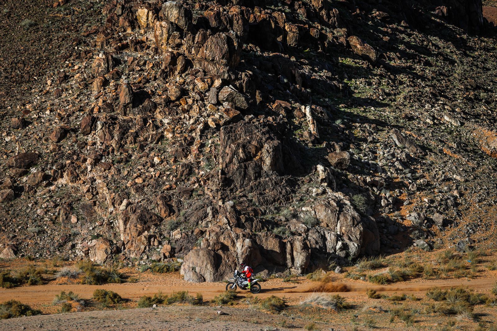 La etapa 9 del Rally Dakar, en fotos