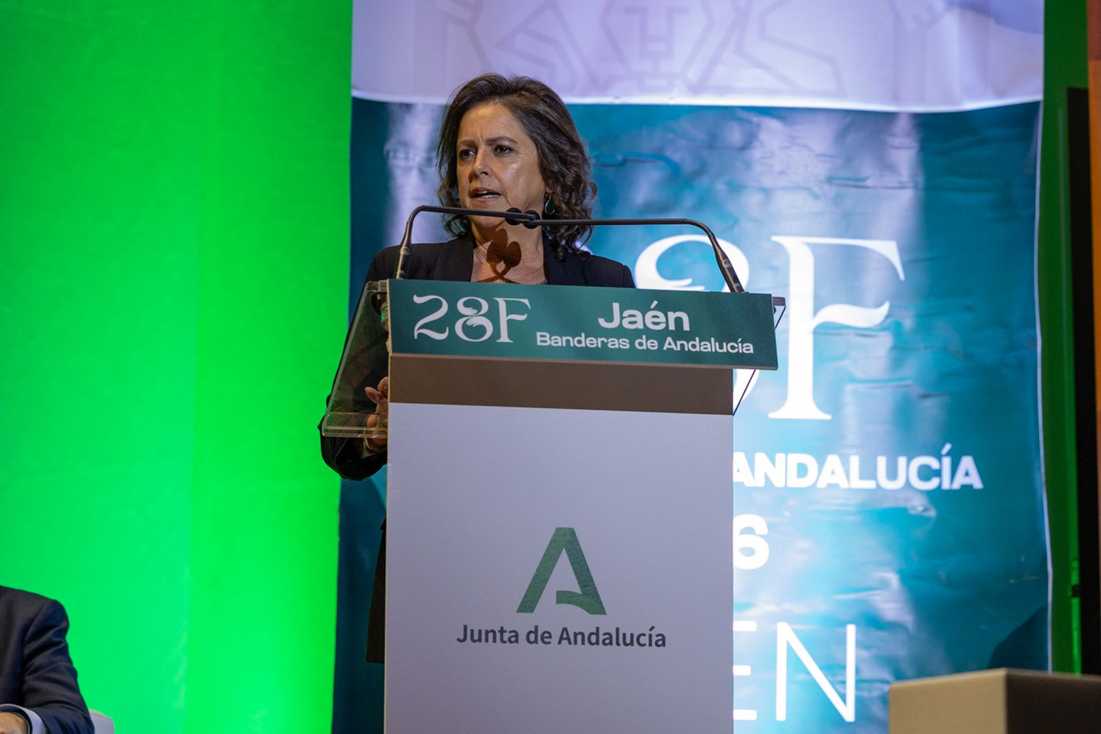 Así se ha vivido la entrega de las Banderas de Andalucía en Jaén