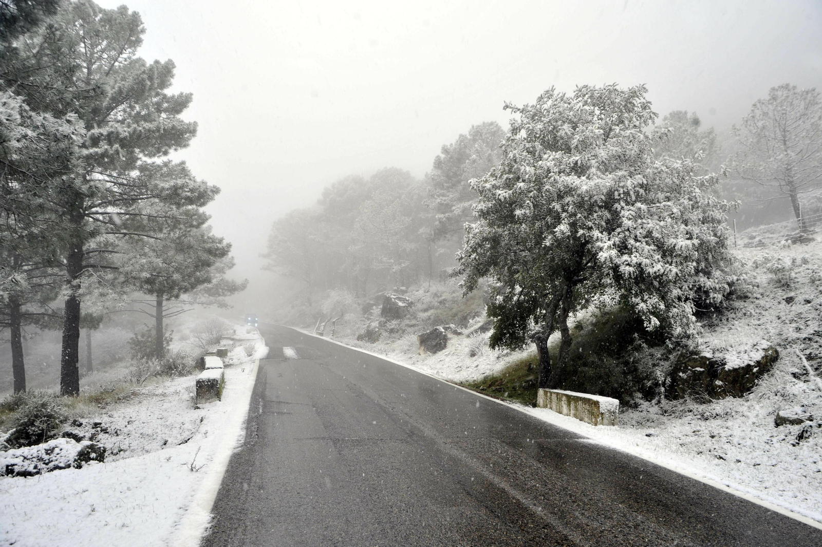 Nieve en Grazalema