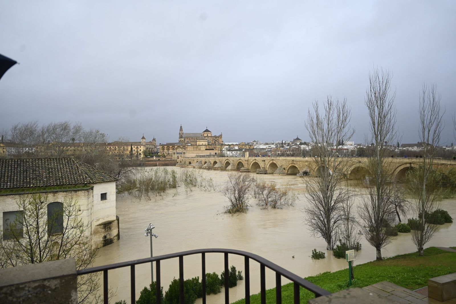 El río Guadalquivir supera los cuatro metros de altura a su paso por Córdoba, en imágenes
