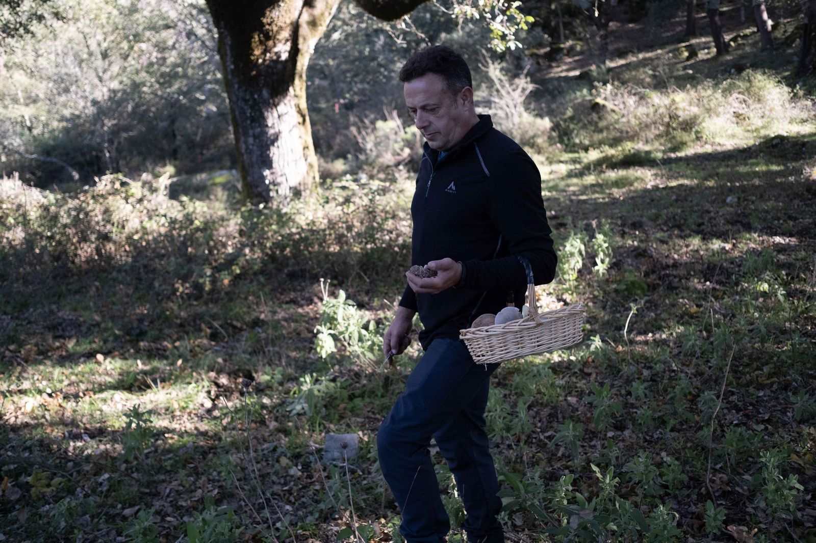 Jornadas micológicas de Cortes de la Frontera, en fotos