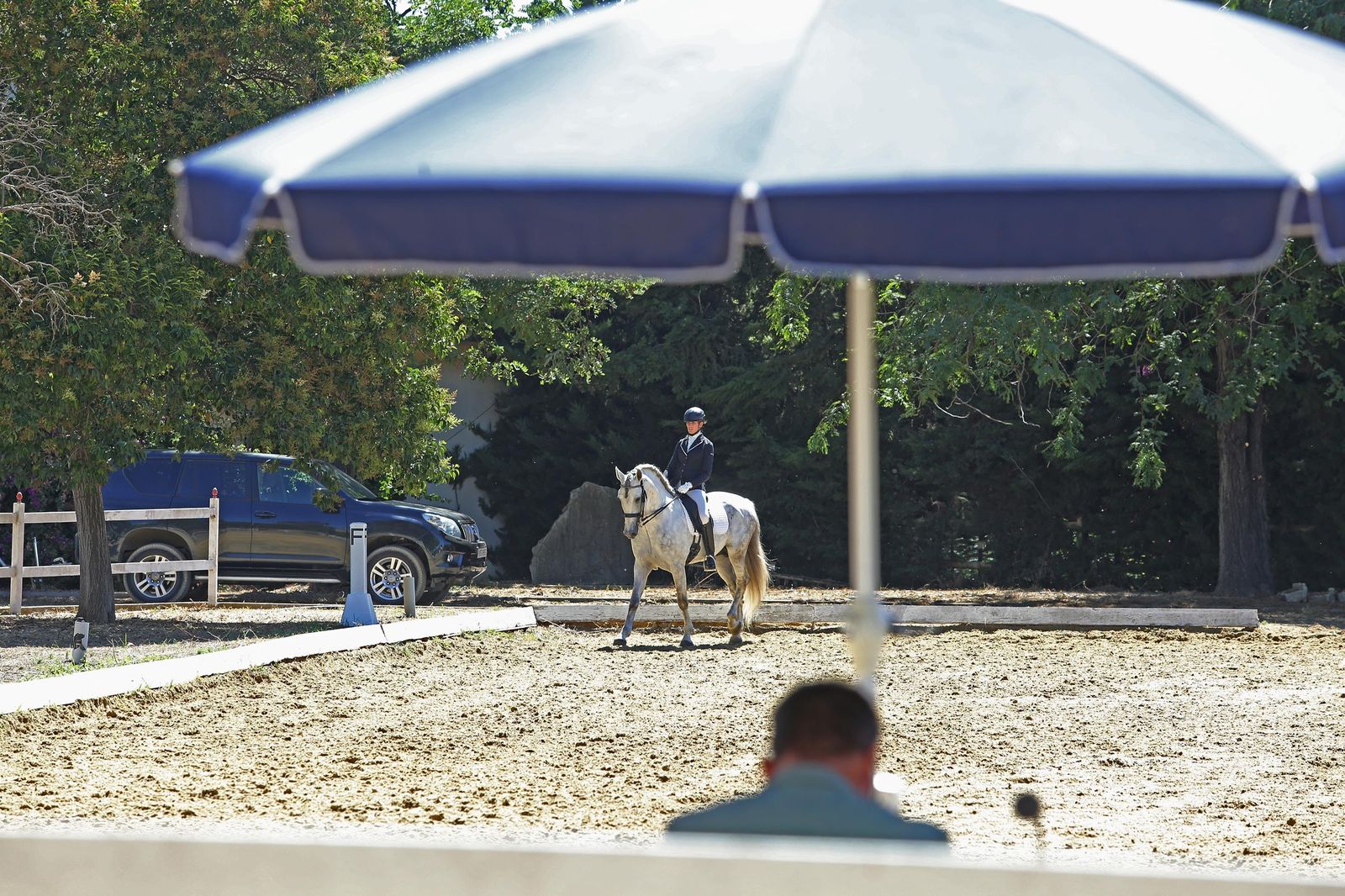El concurso de doma reabre Sementales