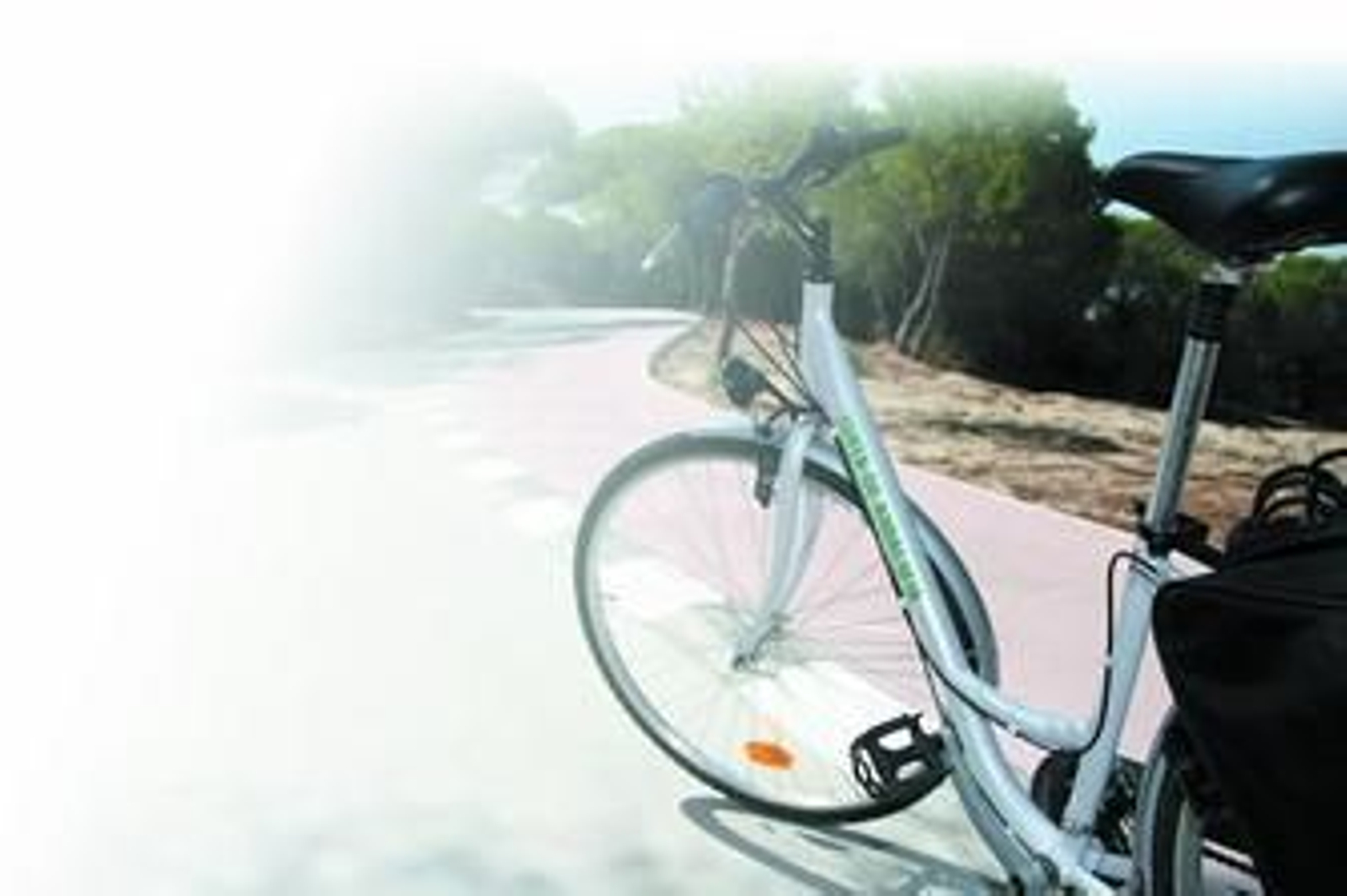 Momentos de 'Verano azul' se vivieron ayer en la inauguración del carril 'multimodal' de El Portil, protagonizados por el delegado de Medio Ambiente, Juan Manuel López.