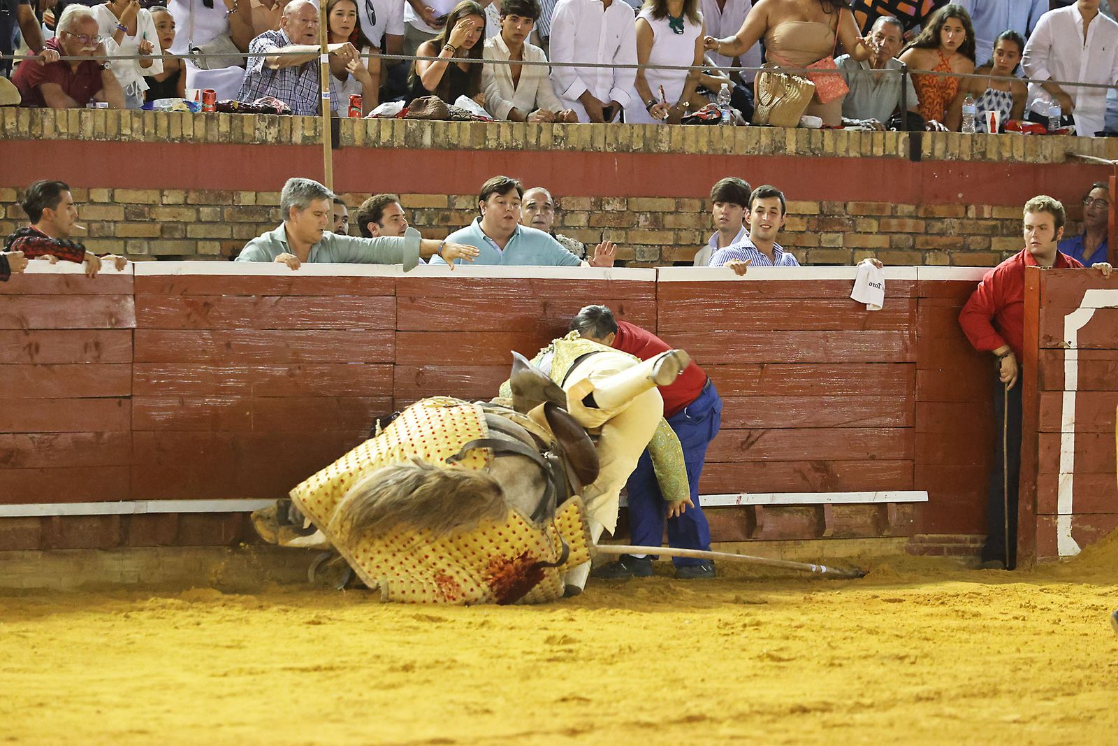 Toros La Merced 2024 Novillada con picadores(