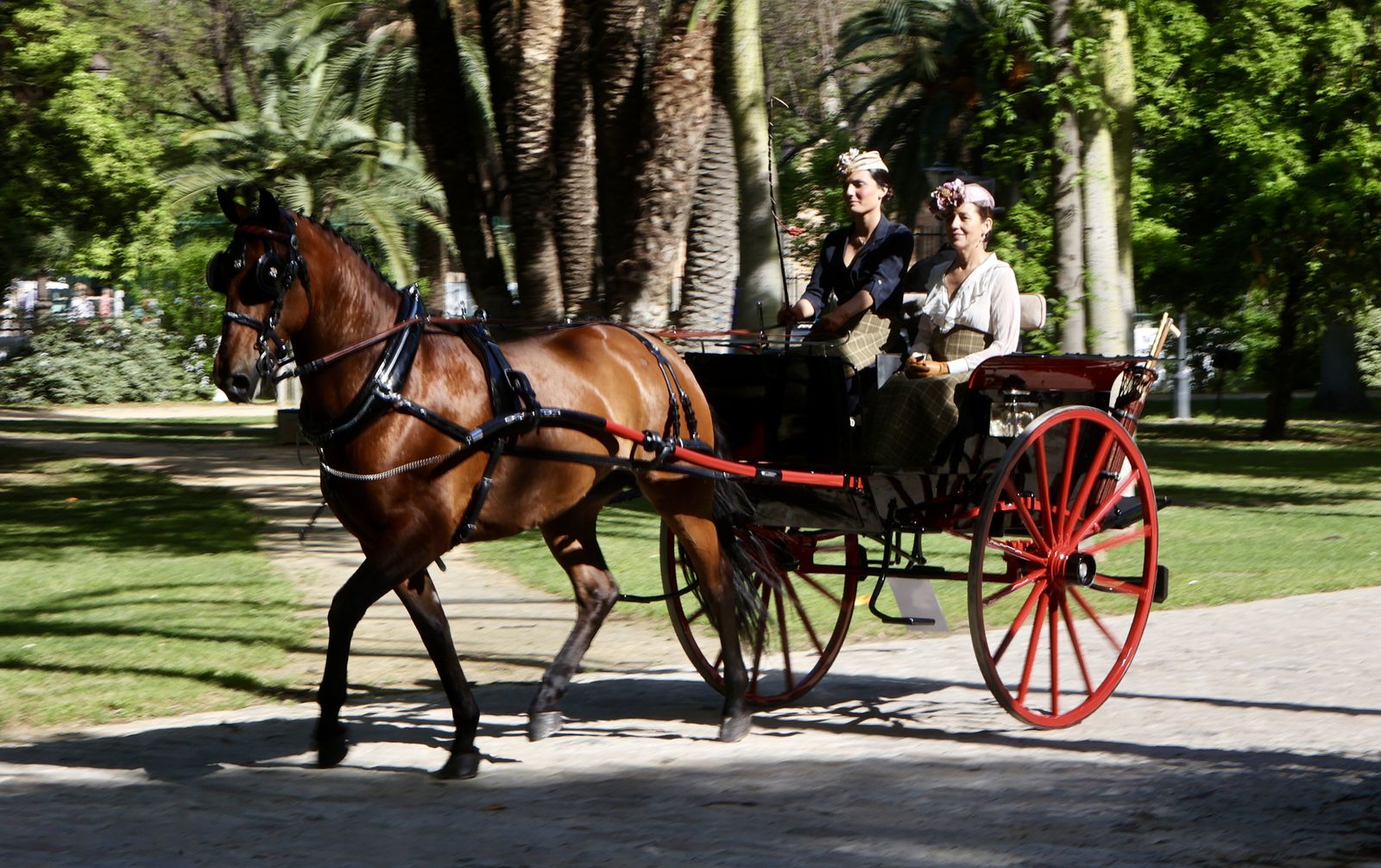 X copa CIAT   Concurso de Enganches