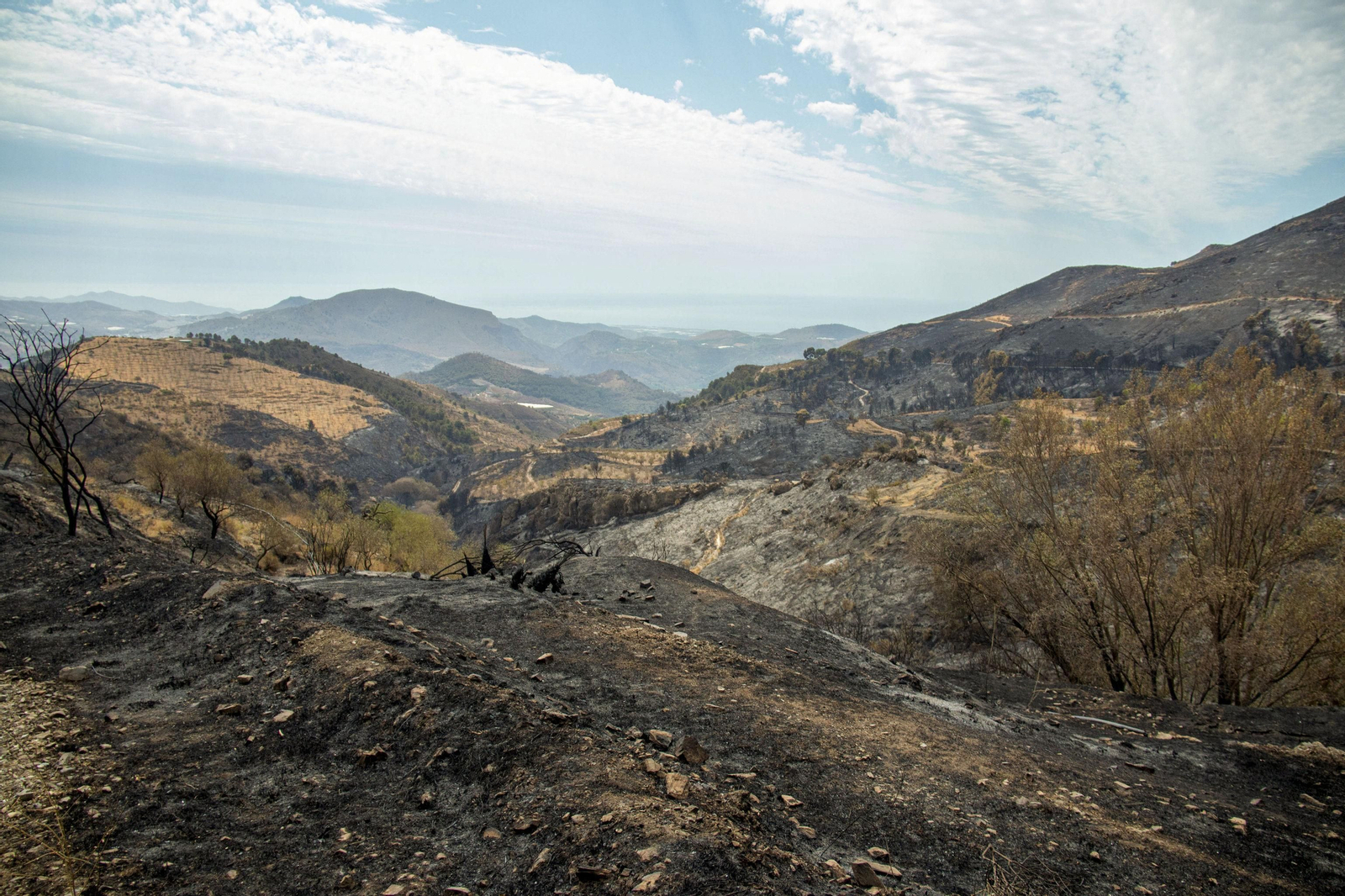 Monte quemado en Los Guájares