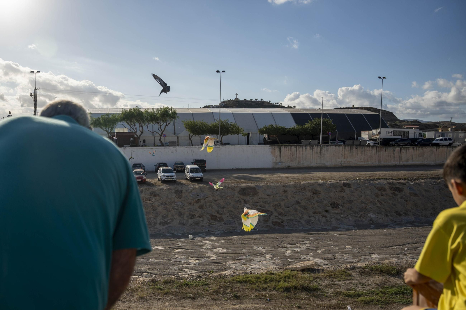 Las mejores imágenes de la suelta de palomos en la Feria de Albox