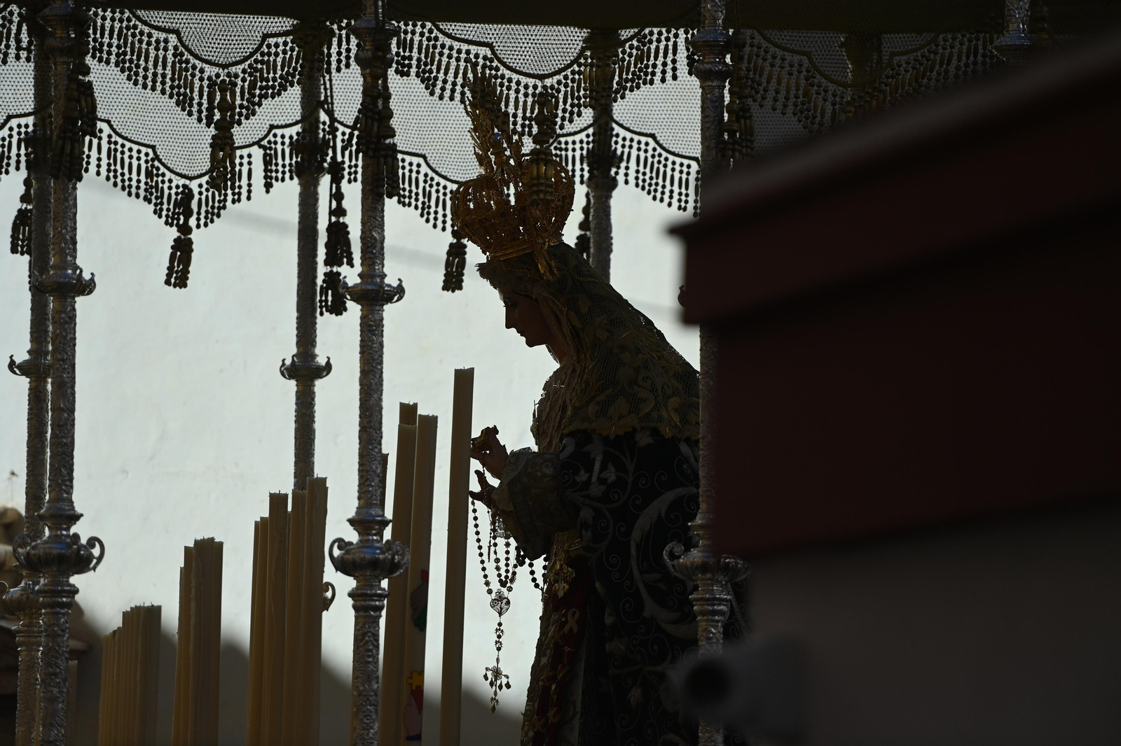Las fotos de Pollinica en su procesión del Domingo de Ramos en Málaga
