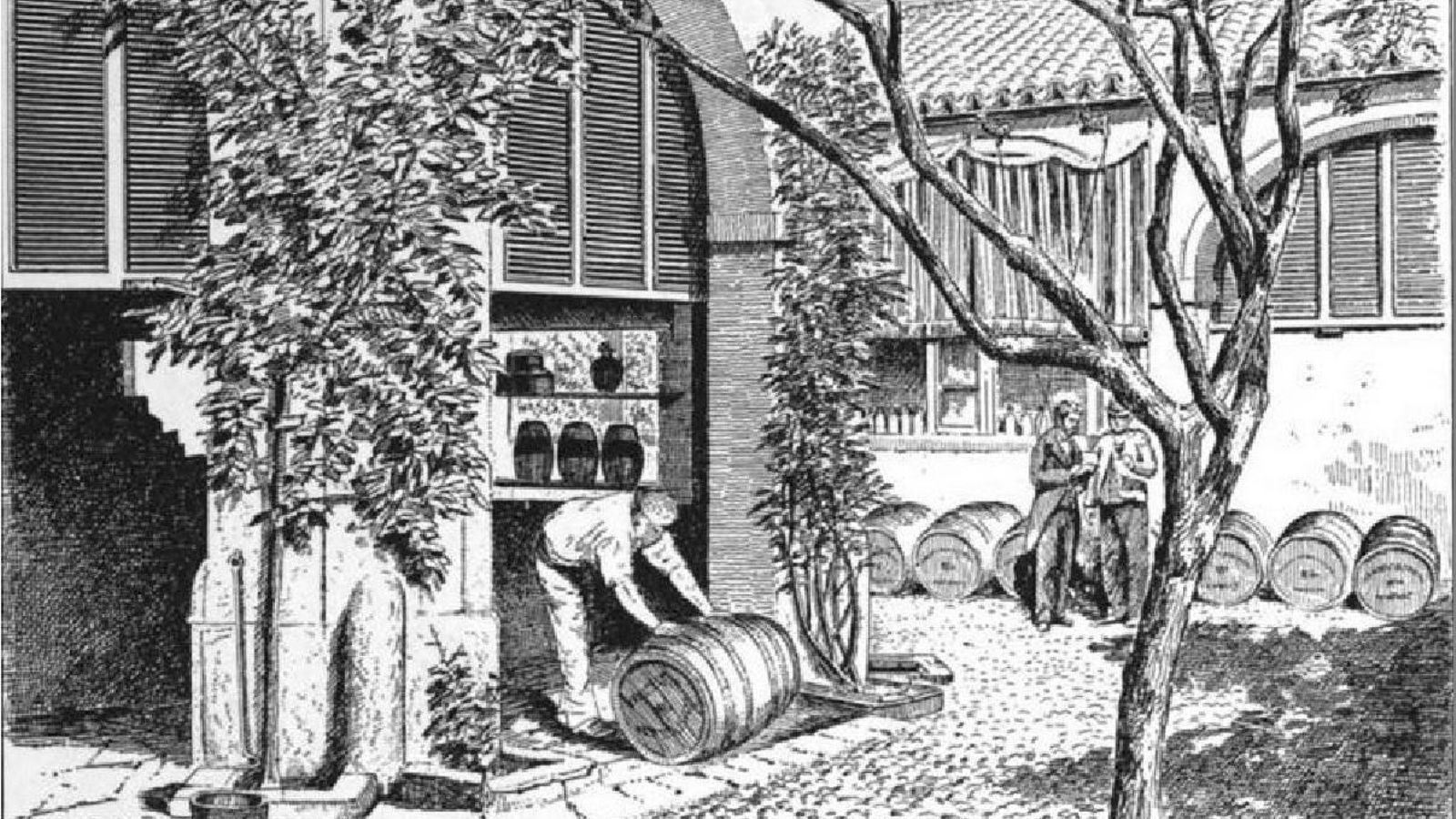 Grabado de la bodega publicado en 1884.