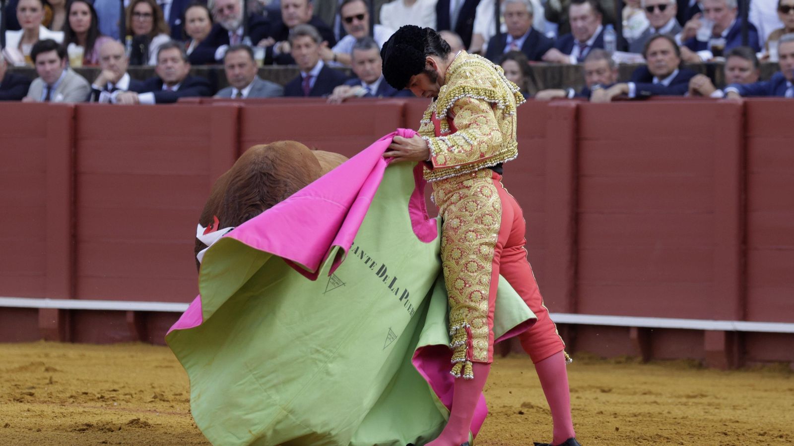 Pies asentados, mentón en el pecho y suavidad extrema para torear de capa al que abría plaza: Morante.