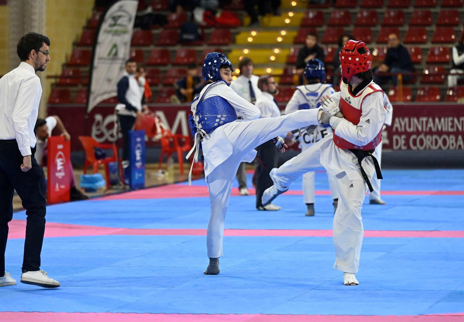 Las mejores fotos del Open Internacional de Andalucía de taekwondo en Córdoba