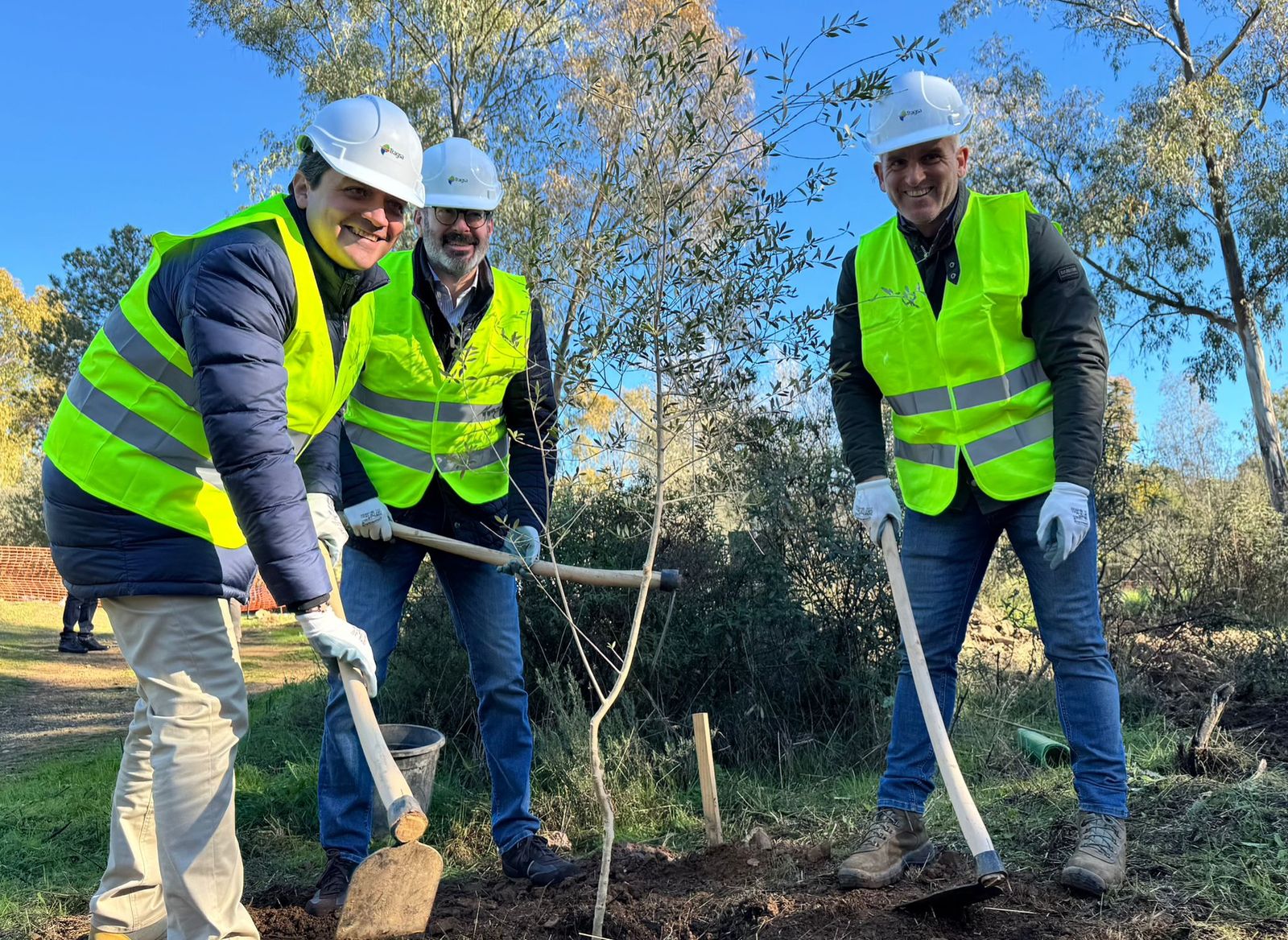 Bellido, Molina y Martínez, intentando plantar un árbol.